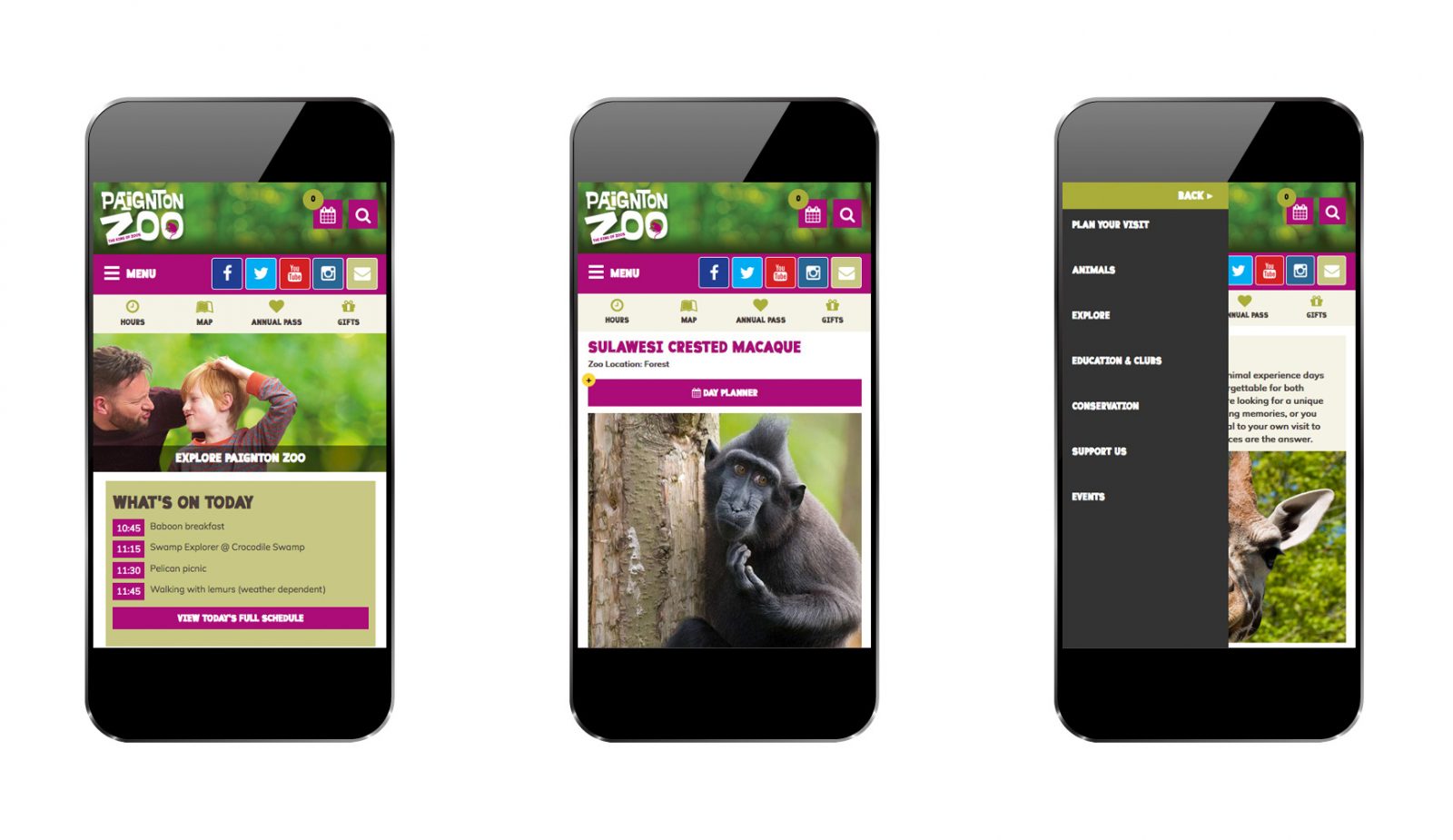 Paignton Zoo Website Design